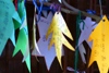 Image 05